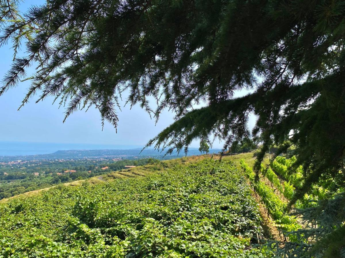 Tenuta Kiwi Dell'Etna Milo Dış mekan fotoğraf